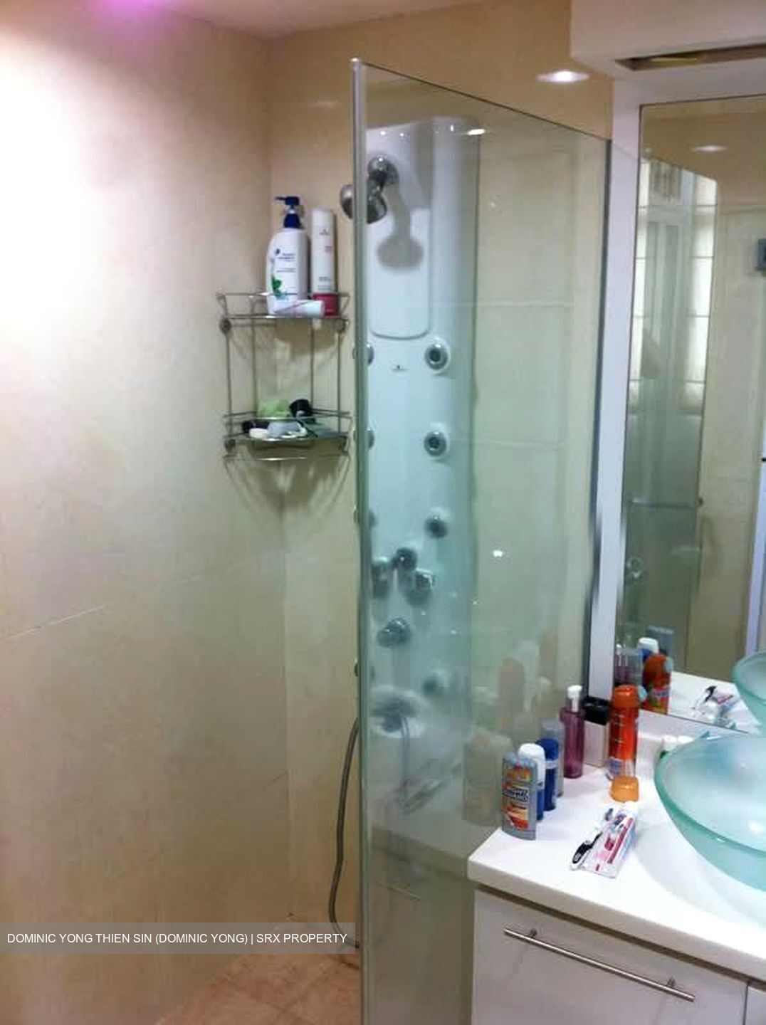 Mandarin Gardens (D15), Condominium #573511631